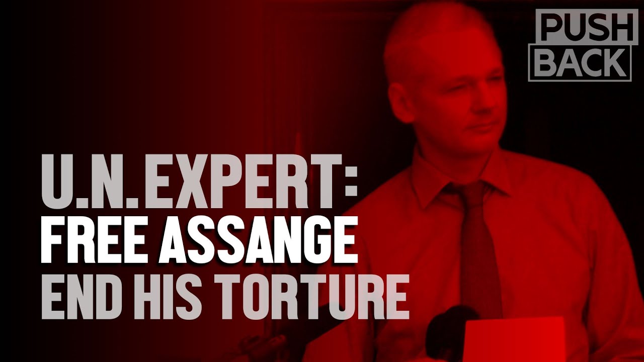 UN torture expert on Julian Assange's persecution and the lies behind it