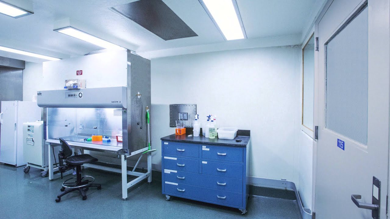 Biological Safety Cabinet (BSC):  How it Works to Protect You