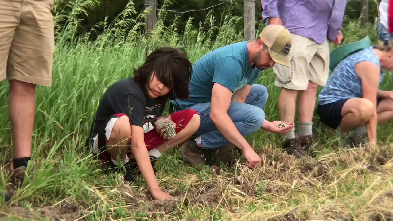 'Seeds of Resistance' Planted in Pipeline's Path