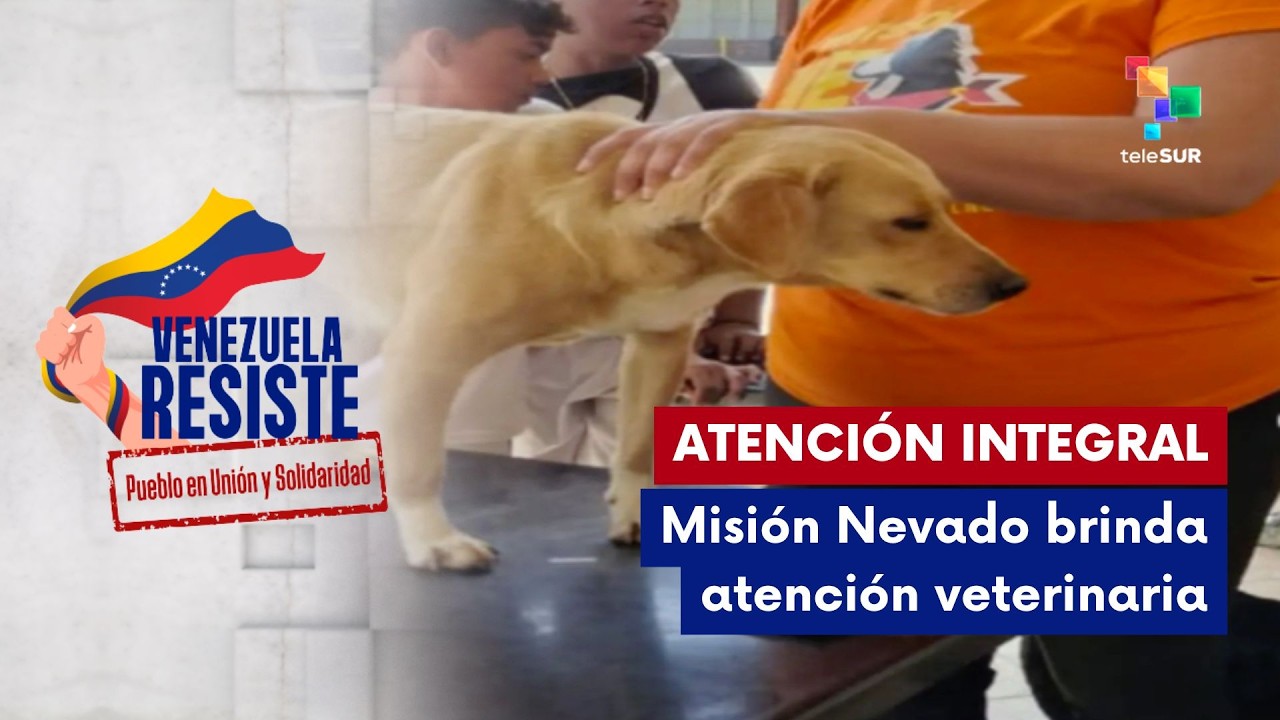 Misión Nevado refuerza atención veterinaria tras terremotos en Venezuela