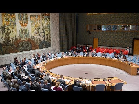 Security Council: The situation in Venezuela
