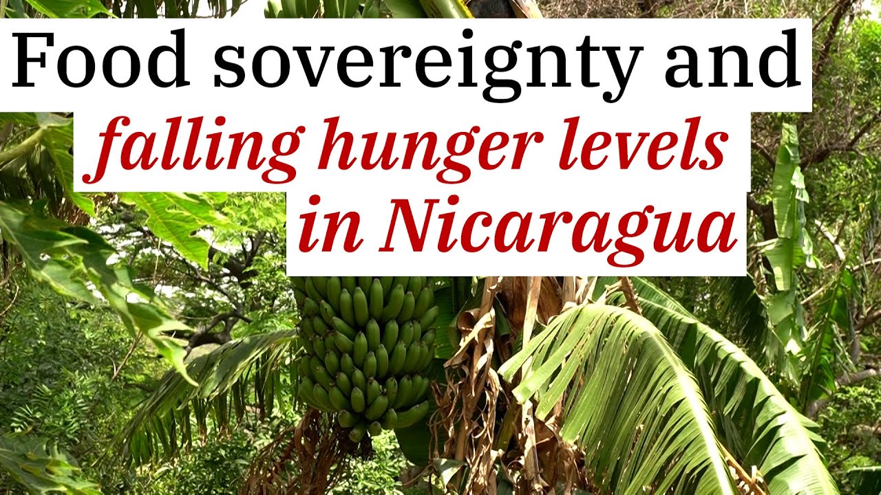 How did Nicaragua reduce hunger and malnutrition?