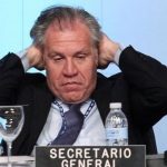 495df67b-a6b7-4b46-a061-aed2c06872da-7899-00000939ca61ab5f