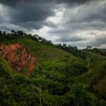 77f6bb68-ef61-4653-8577-8f1c52df51e7-1596-0000023ec411de47