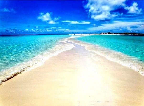 4d2be681-e2b9-4864-82c4-3dfeced57809-5557-000008474e18139a