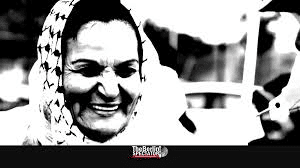 1ddb1a90-8b9d-4a73-894c-6315b3930967-2981-00000481ccf971d9