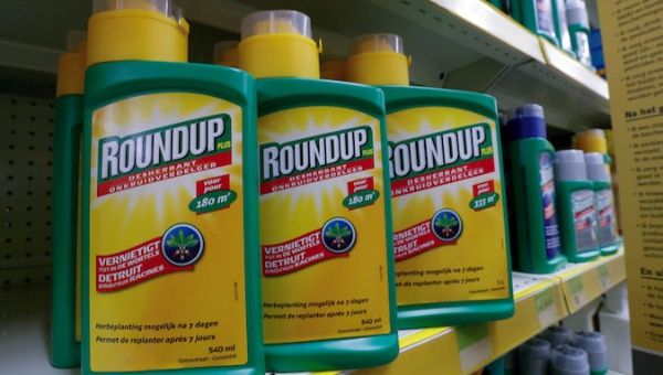 2019-03-27t220609z_466718078_rc13a1b86f00_rtrmadp_3_bayer-glyphosate-lawsuit.jpg_1718483346