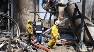 54730228_2241936935866377_965901891051454464_o