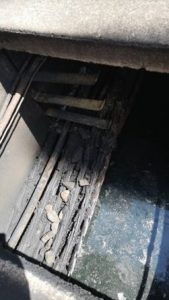 55515104_2241940979199306_912439224777572352_o