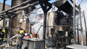 55536482_2241940912532646_9085625404810592256_o