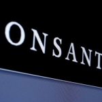 india-monsanto.jpg_1718483346