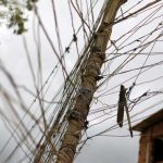 5cb43f82e9180fe21c8b4567