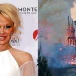 5cbb11f5fc7e93587f8b4572