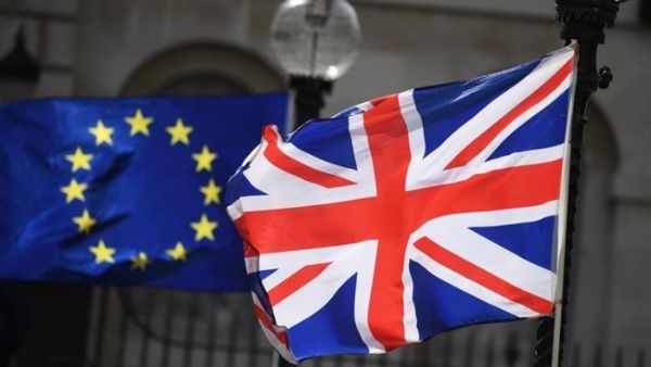 disexo_sin_txtulo_x15x.jpg_1718483347 (1)