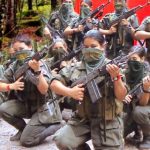 eln_stretched_main_pic_i677-07