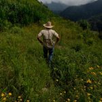 AP_18305168418120_edited