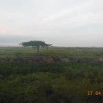 dscn2922