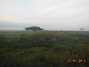 dscn2922