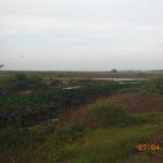dscn2923