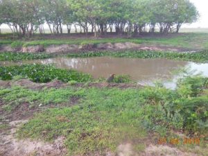 dscn2926