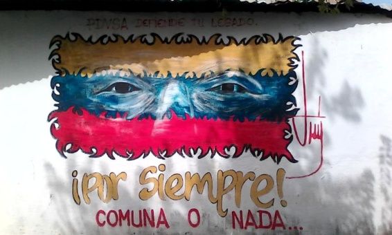 nellys_5.jpg_1718483347