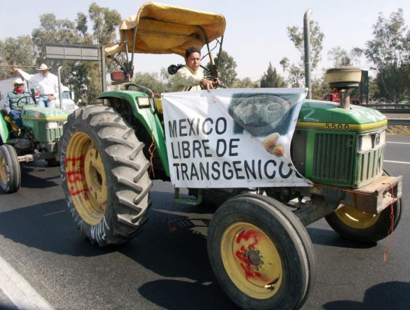 1_w5_iBOT4qBBzv5g_cDCehQ