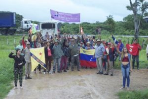 806118866_339086-a6426