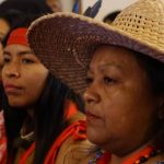 WhatsApp-Image-2019-07-25-at-12.37.55-PM-800x445