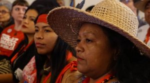 WhatsApp-Image-2019-07-25-at-12.37.55-PM-800x445