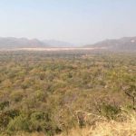 ethiopia.jpg_1718483346