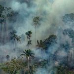 1566666784-0001jq58v-768x432