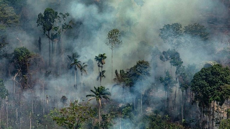 1566666784-0001jq58v-768x432