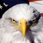 WhatsApp-Image-2019-07-30-at-6.44.05-PM-1