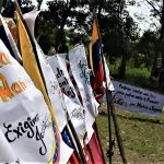 mvi_0164.mov_.00_00_11_25.still001_0