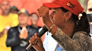 mvi_0203.mov_.00_00_14_25.still001_0