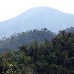 2012-02-sierra_maestra_turquino_nationalpark_kuba_04_anagoria_1.jpg_1718483346