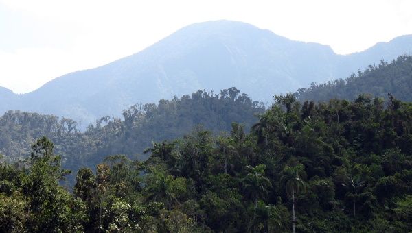 2012-02-sierra_maestra_turquino_nationalpark_kuba_04_anagoria_1.jpg_1718483346