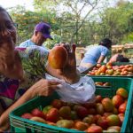 277da8c4-c7c0-4841-a272-71c9abf1b919-e1569084461362