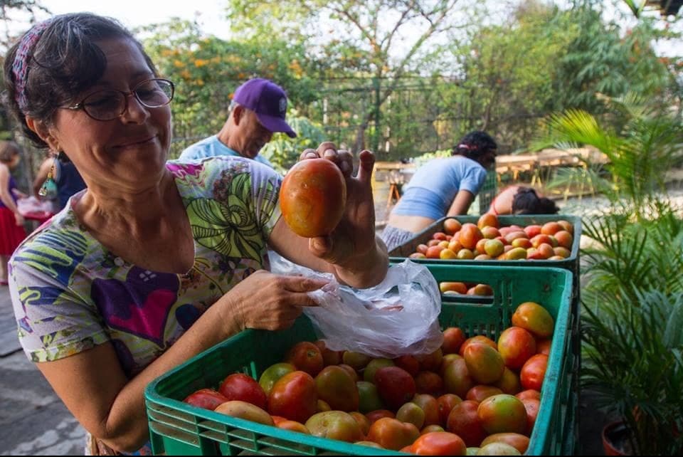 277da8c4-c7c0-4841-a272-71c9abf1b919-e1569084461362