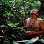 file-20190827-184217-1mefk5e