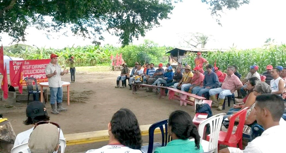 1campesinos.jpg