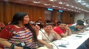 Cortesía-@MINPIOFICIAL-2