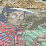 48837596811_469afcfb38_c