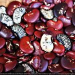 Screenshot at 20-58-51