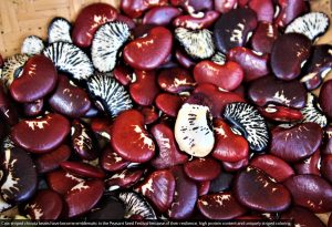 Screenshot at 20-58-51