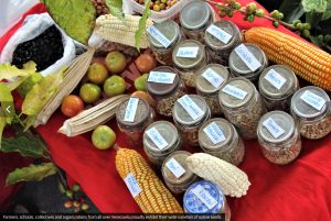 Screenshot at 21-01-04