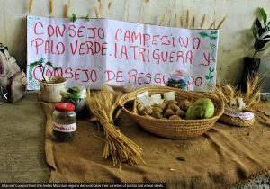 Screenshot at 21-01-48