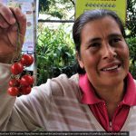 Screenshot at 21-03-24