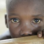 file-20190916-19072-nc7mq8