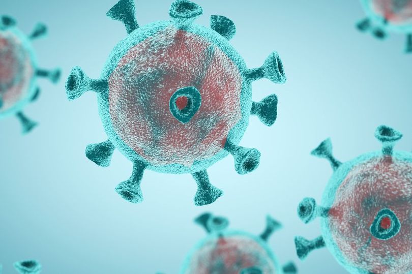 1_GettyImages-1208505324